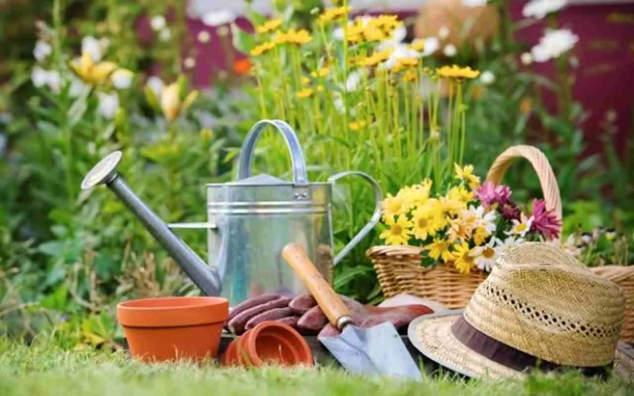 Come fare per avere giardino sostenibile e produttivo