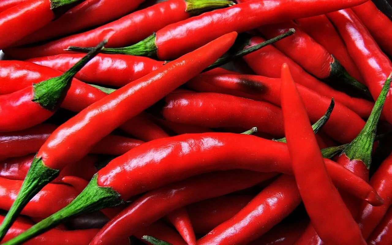 attenzione al peperoncino durante l'inverno