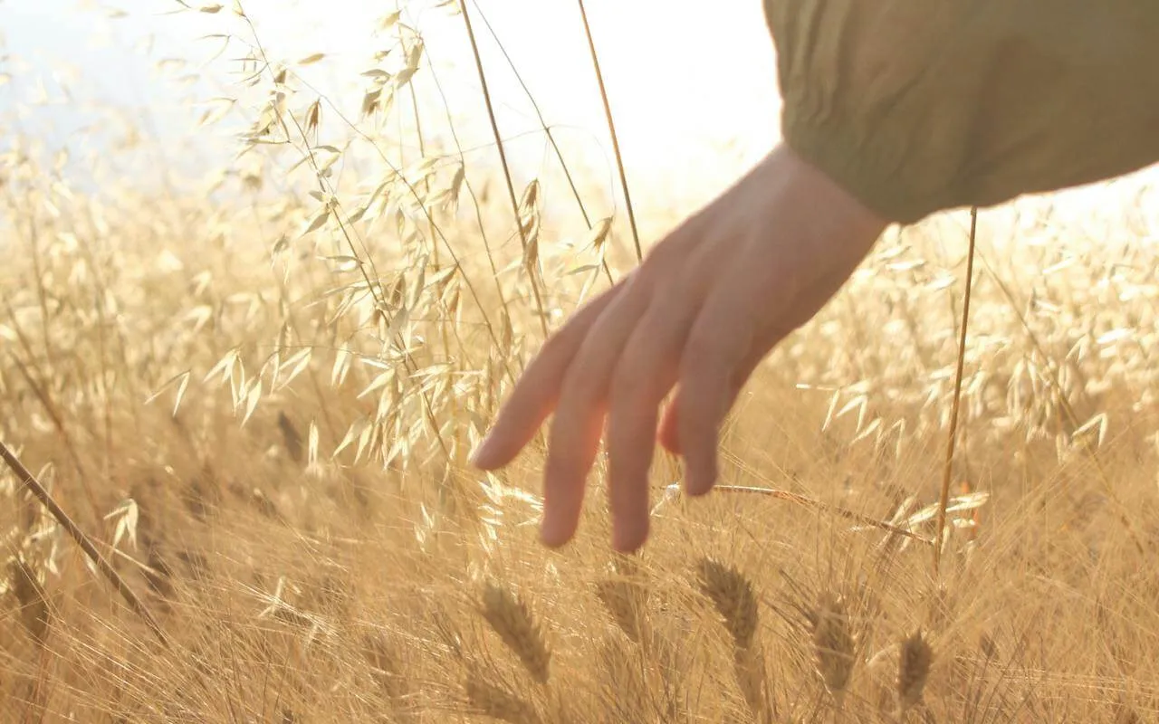 potatura di settembre