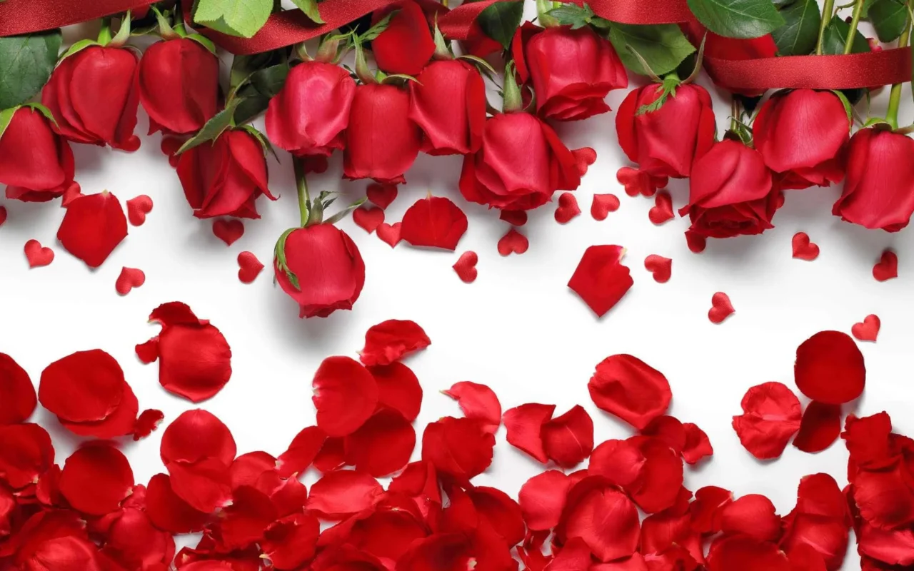 Come evitare le macchie nere sulle rose